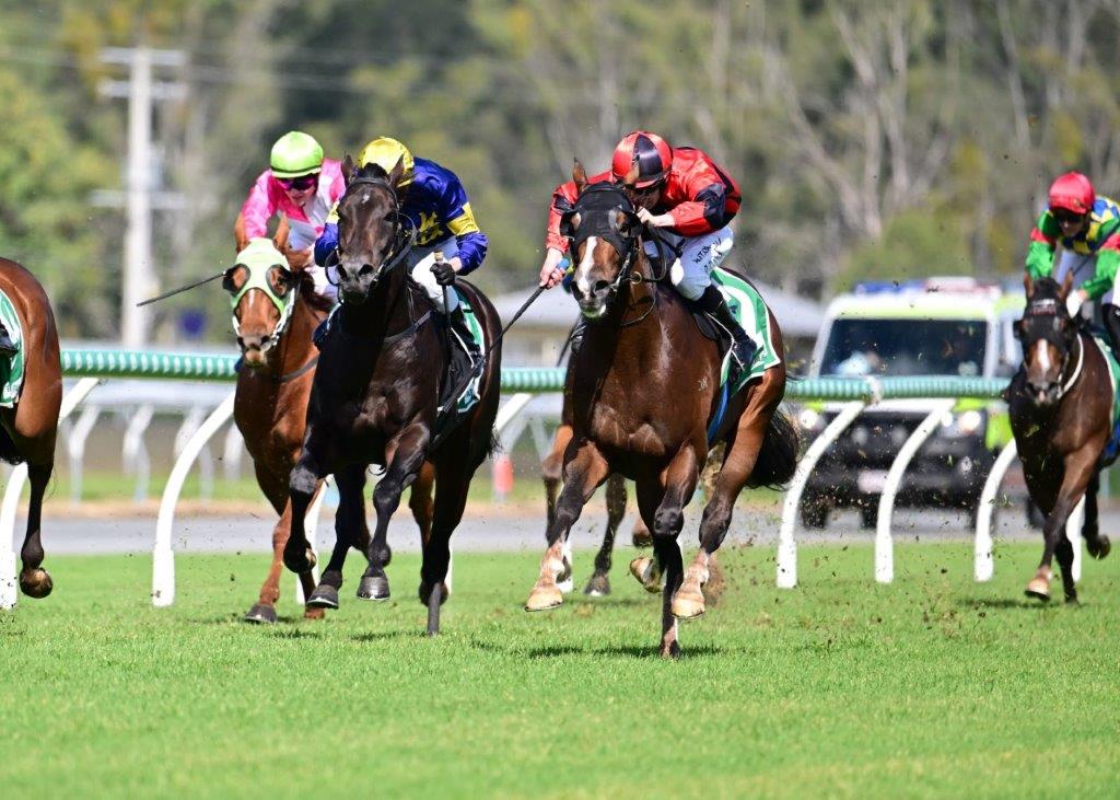 Ipswich Preview and Selections 27 May 2023